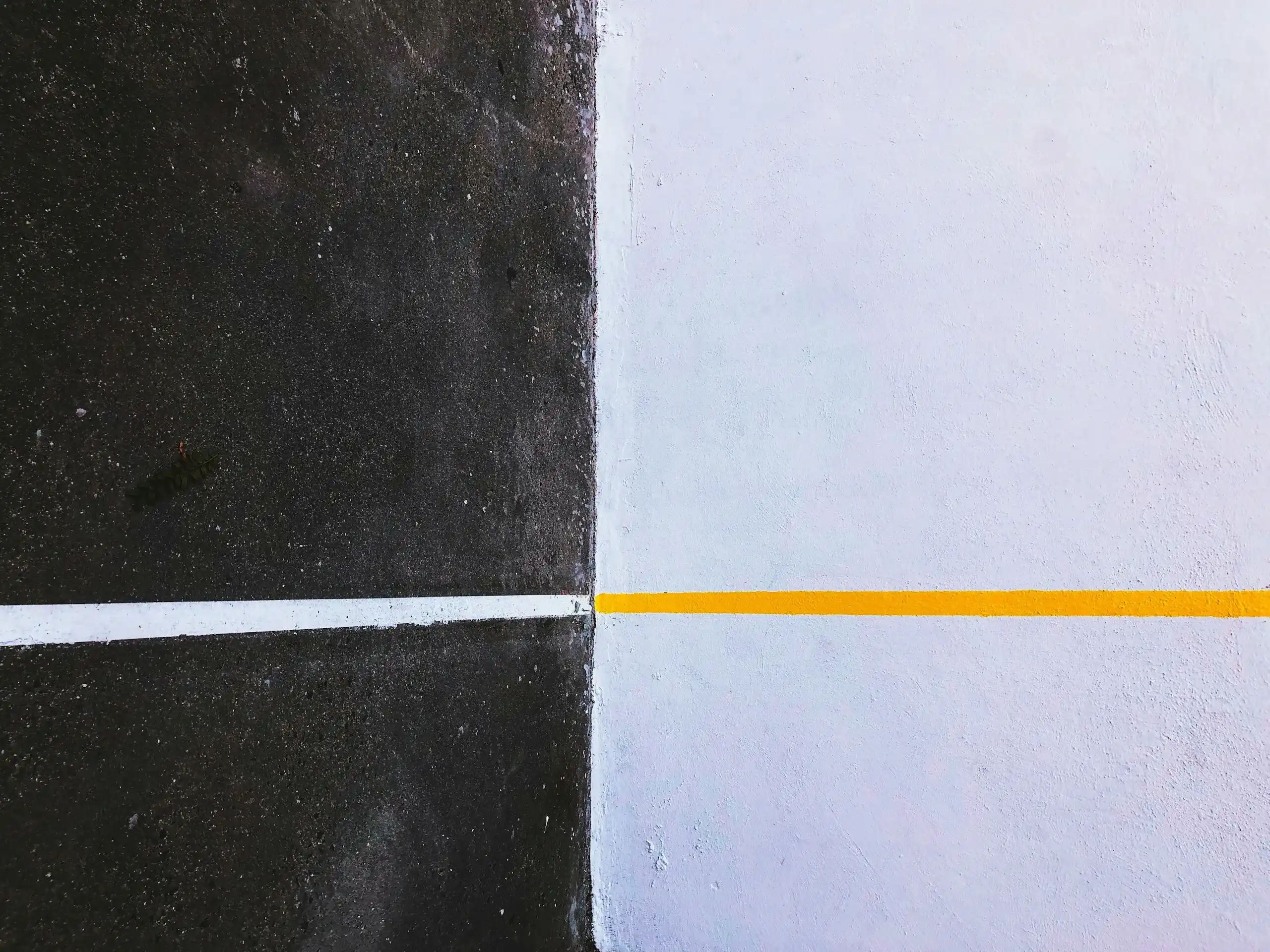 A Scroll Progress Bar With No JavaScript
