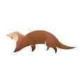 Holt app icon